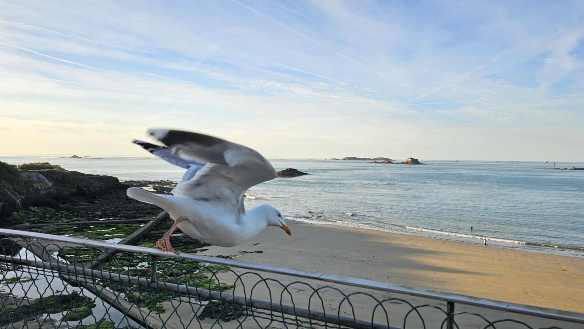 Vue Pleine Mer A La Perle Marine - La Terrasse ดีนาร์ ภายนอก รูปภาพ